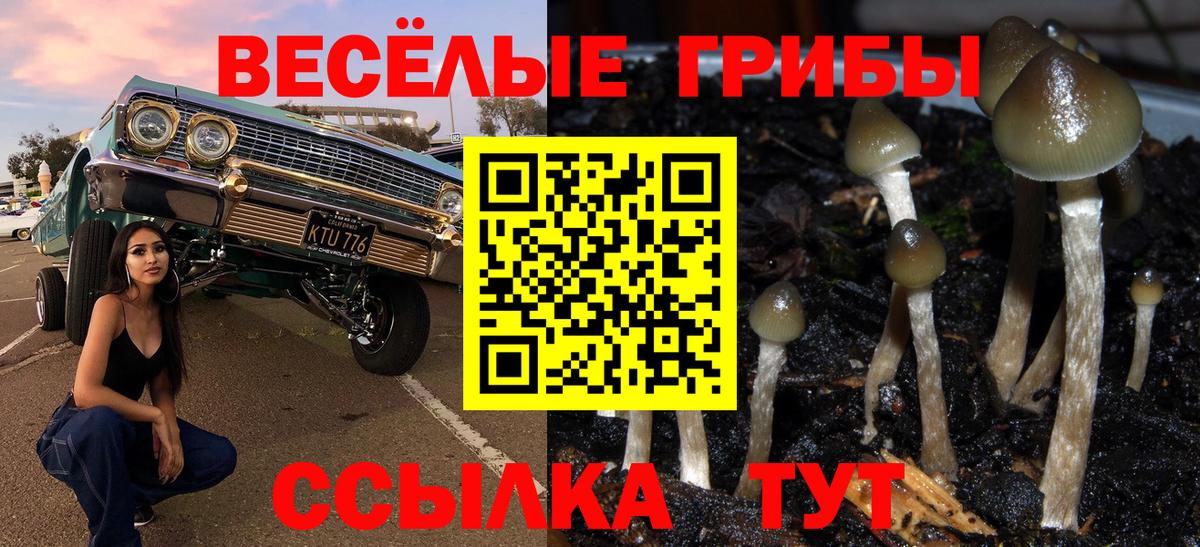 Елец  Кокаин  Мефедрон кристаллы  Вход с VPN  Марихуана  ГАШИШ  МЕТ 