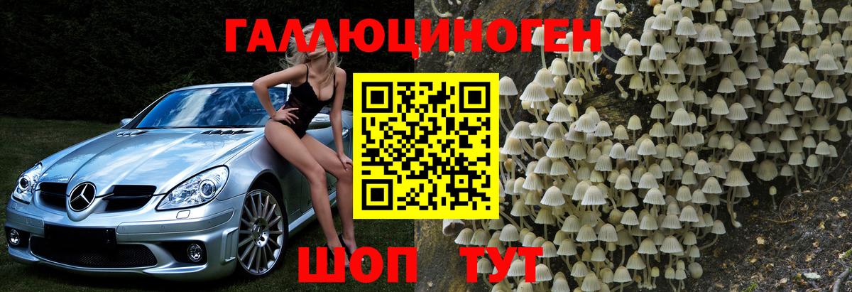 Елец  Псилоцибиновые грибы Psilocybe  Вход с VPN  где можно купить наркотик  Галлюциногенные грибы Psilocybine cubensis 