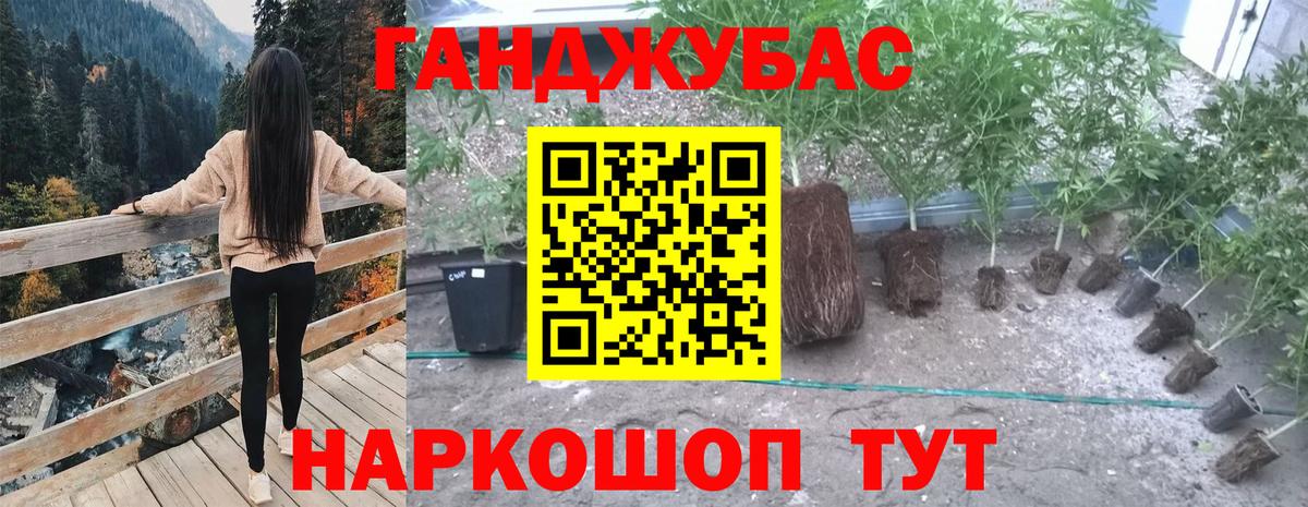Елец  МАРИХУАНА OG Kush  Канабис Ganja  Вход с VPN  Шишки марихуана SATIVA & INDICA 